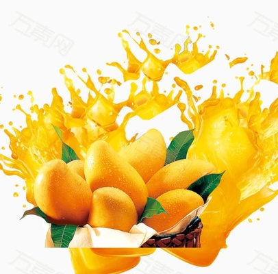 Завод по обработке 2-5T/H SUS304 пульпы манго овоща плода