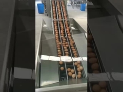 вертикальная машина для ломания яиц