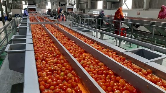 Горячая продажа Комплексный индивидуальный завод по производству томатов Новая машина для обработки омата / томатного сока / соуса / целлюлозы с ПЛК SUS304 / 316