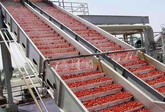 Высокопроизводительная линейка обработки черники на заказ Производственный завод черники / клубники / малины Сок черники / целлюлоза / варенье с ПЛК