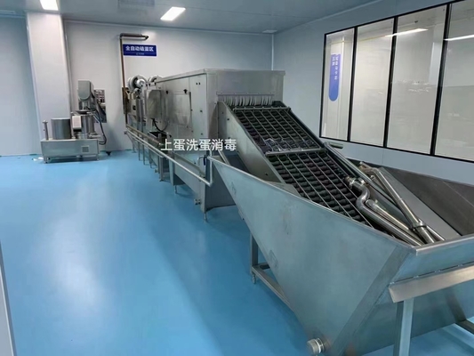 500-30000L/H Линия для обработки яиц по индивидуальному заказу Комплексный завод по производству яиц Яичная жидкая машина с ПЛК