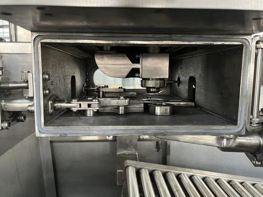 Автоматическая 1-220L двойная голова асептическая мешка заполняющая машина SUS304 для упаковки сока молочного пюре