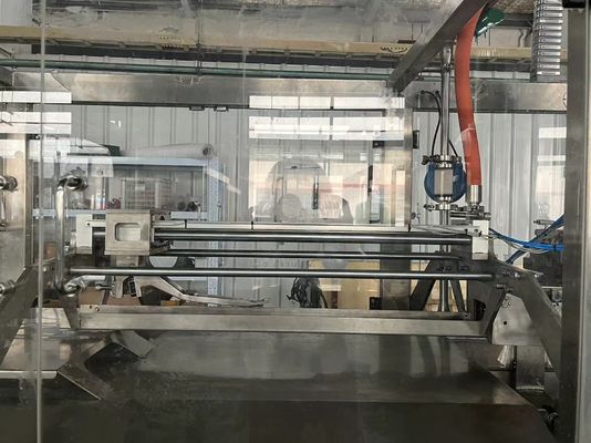 Автоматическая 1-220L двойная голова асептическая мешка заполняющая машина SUS304 для упаковки сока молочного пюре